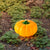 Benu Solar Panel Charging Waterproof Pumpkin Resin LED Outdoor Light For Garden, Swimming Pool