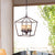 Manoel 4-Light Chandelier - Black Brushed Gold